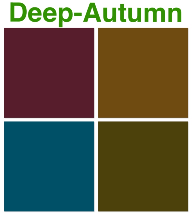16タイプ パーソナルカラー診断 Deep Autumnおすすめコーデ メイク ープルヌスー Total Beauty Analysis